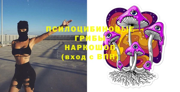 эйфоретик Медногорск
