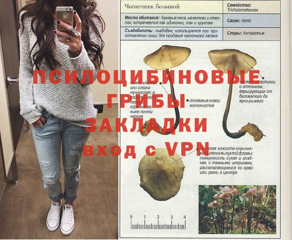 амфетамин Медвежьегорск